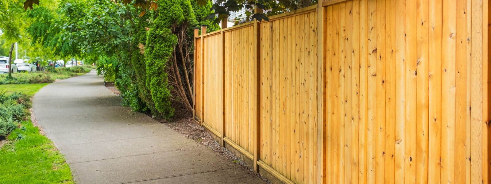 Wood Fencing