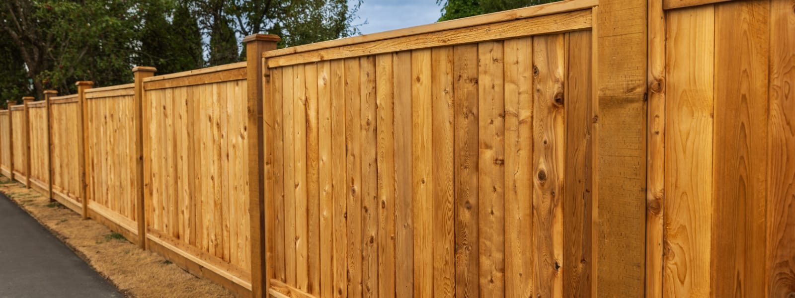 Wood Fences Maple Park IL